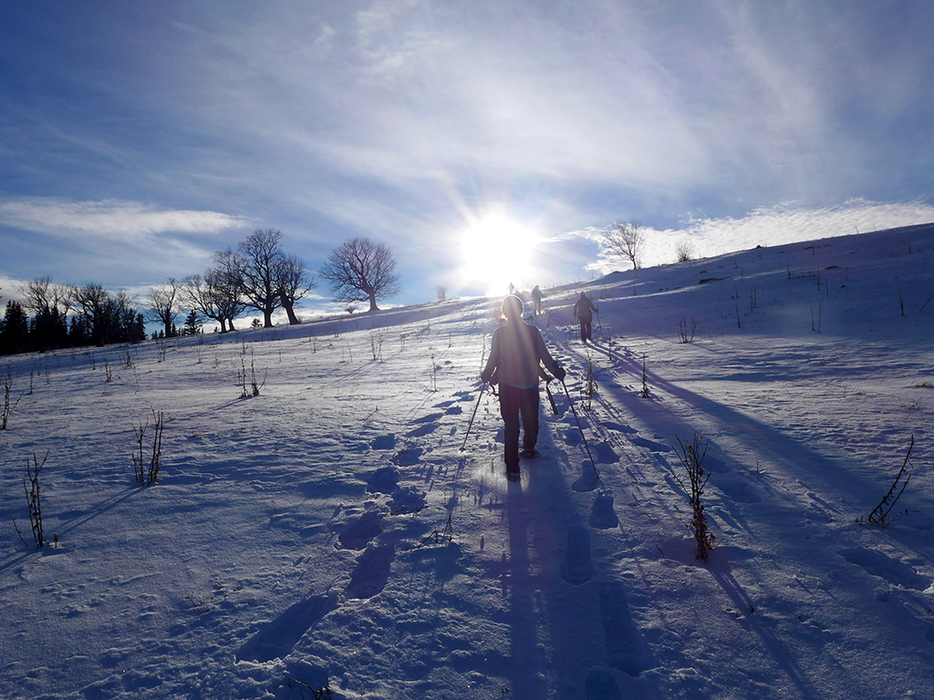 Winter-Yoga & Schneeschuhwanderretreat