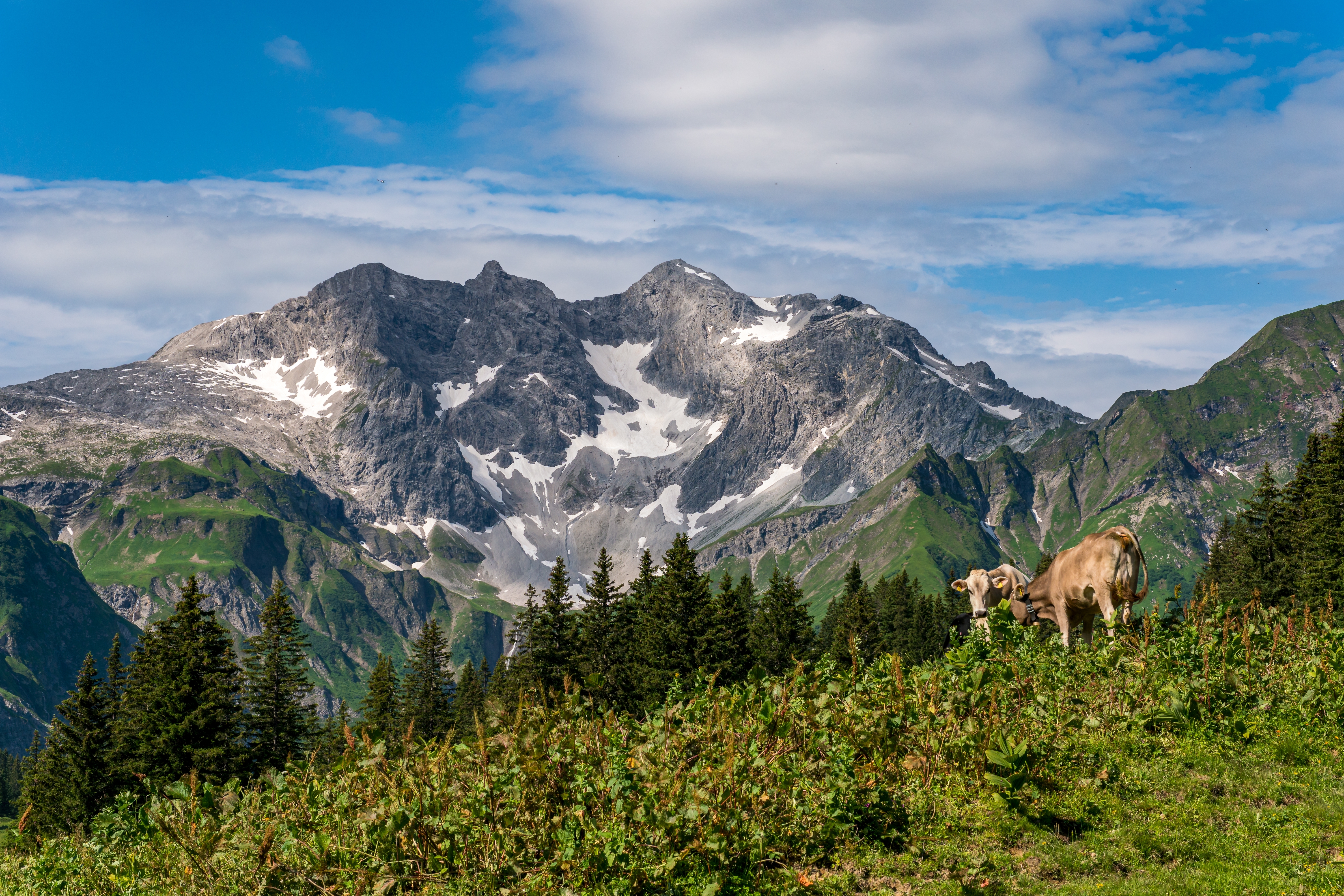 Bergwanderwoche