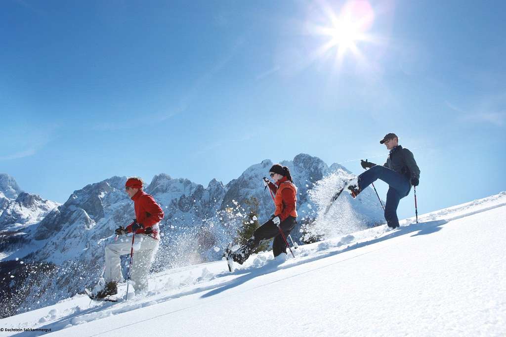 Basic/Improvers Snow Shoeing